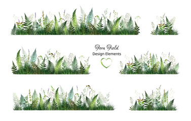 Fern parts of field. Floral set with green fern leaves and herbs. © VETOCHKA