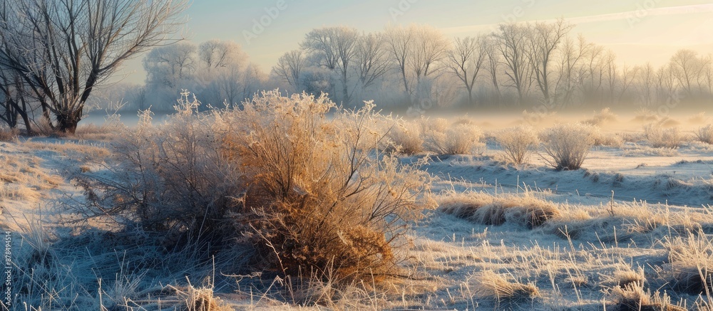 Aufkleber an early morning scene featuring frost-covered dry bushes and grass in the countryside with plenty o