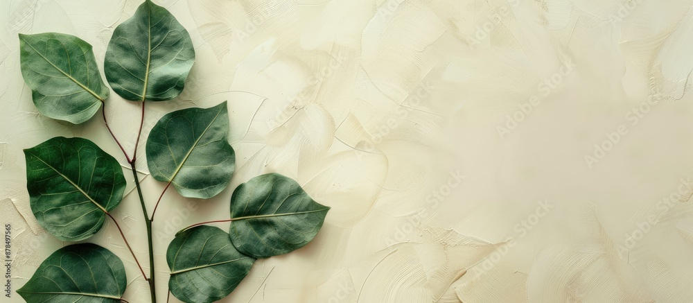 Aufkleber bodhi leaves displayed against a serene copy space image.