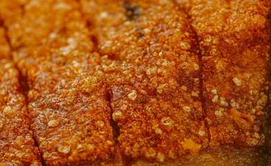 A piece of meat with a lot of brown spots on it. The meat appears to be cooked and has a crispy texture