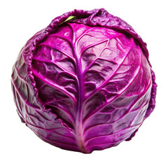 Fototapeta premium purple cabbage isolated on white background.