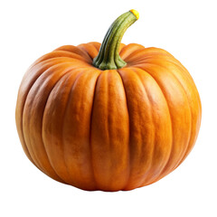 Obraz premium pumpkin isolated on white background