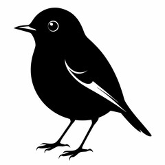 Fototapeta premium Robin black silhouette