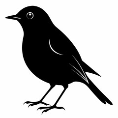 Robin black silhouette