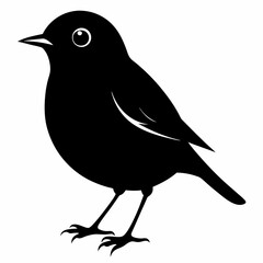 Robin black silhouette