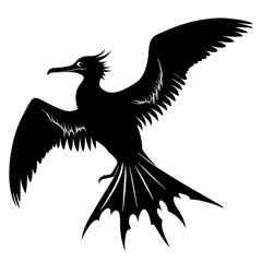 Frigatebird silhouette black