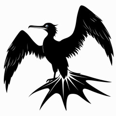 Frigatebird silhouette black