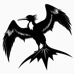 Frigatebird silhouette black