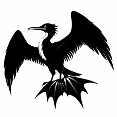 Frigatebird silhouette black