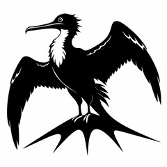 Frigatebird silhouette black
