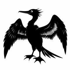 Frigatebird silhouette black