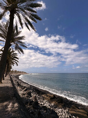 beach with palm trees Tenerife Spain