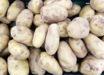 Freshly Harvested Potatoes in Market Display

