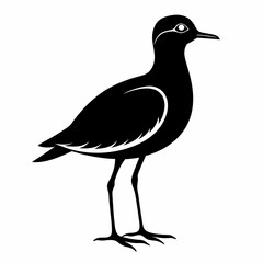 Plover black silhouette