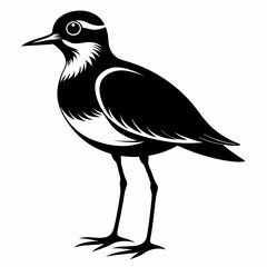 Plover black silhouette