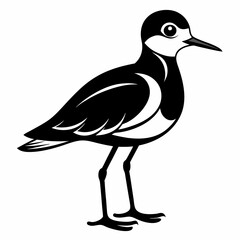 Plover black silhouette