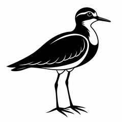 Plover black silhouette