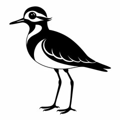Plover black silhouette