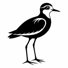 Plover black silhouette