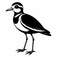 Plover black silhouette