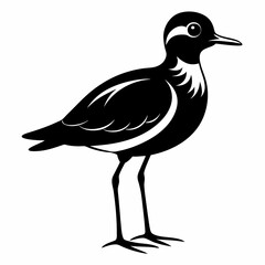 Plover black silhouette