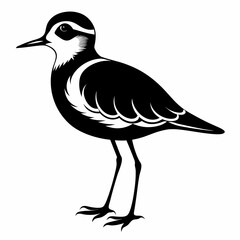 Plover black silhouette