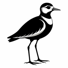 Plover black silhouette