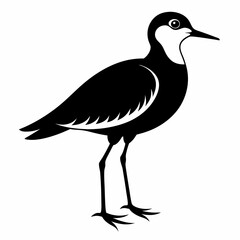Plover black silhouette