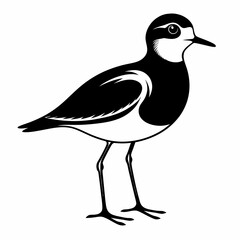 Plover black silhouette