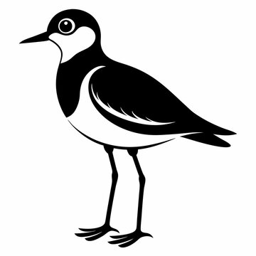 recommend clip art: Plover black silhouette