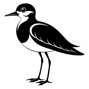 recommend clip art: Plover black silhouette