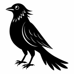 Cuckoo black silhouette
