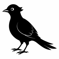 Cuckoo black silhouette