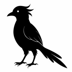 Cuckoo black silhouette