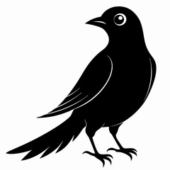 Cuckoo black silhouette
