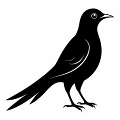 Cuckoo black silhouette