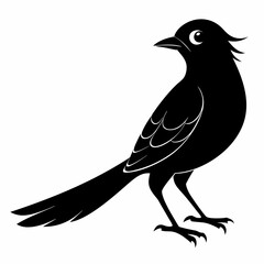 Cuckoo black silhouette