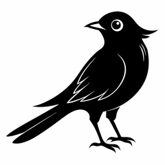 Cuckoo black silhouette
