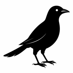 Cuckoo black silhouette