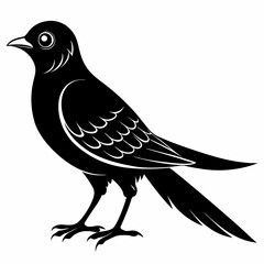 Cuckoo black silhouette