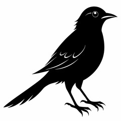 Cuckoo black silhouette