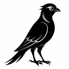Cuckoo black silhouette