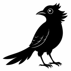 Cuckoo black silhouette