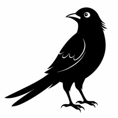 Cuckoo black silhouette