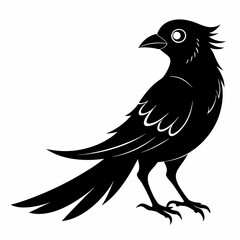 Cuckoo black silhouette