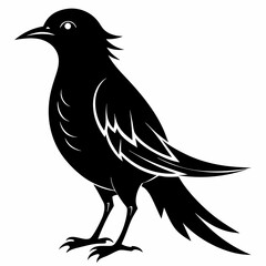 Cuckoo black silhouette