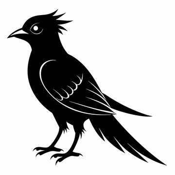 recommend clip art: Cuckoo black silhouette