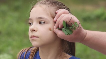 A girl is smeared with celandine juice from a sprig of celandine on her cheek in nature.