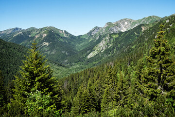 Silent valley, High Tatras mountain, Slovakia