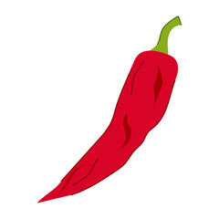 hot pepper chili cartoon. red spicy, chilli spice, paprika sketch hot pepper chili sign. isolated symbol vector illustration